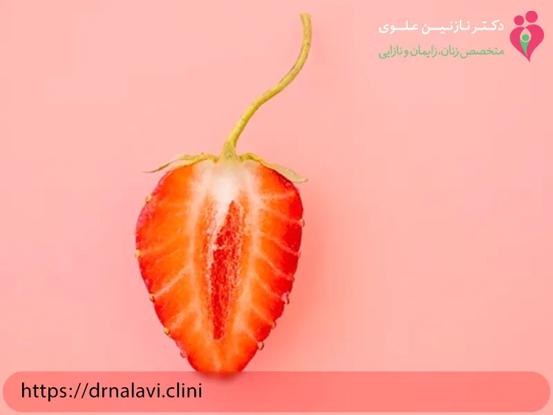 نتایج نهایی لبیا پلاستی چه زمانی مشخص می شود؟