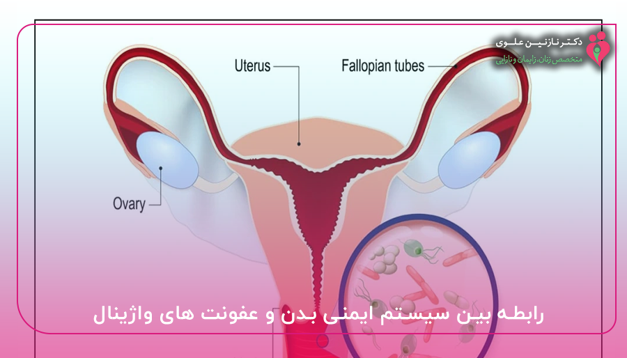 رابطه بین سیستم ایمنی بدن و عفونت های واژینال