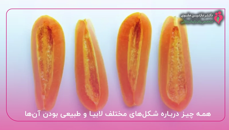 همه چیز درباره شکل‌های مختلف لابیا و طبیعی بودن آن‌ها