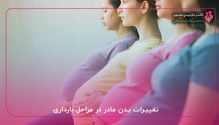 تغییرات بدن مادر در مراحل بارداری