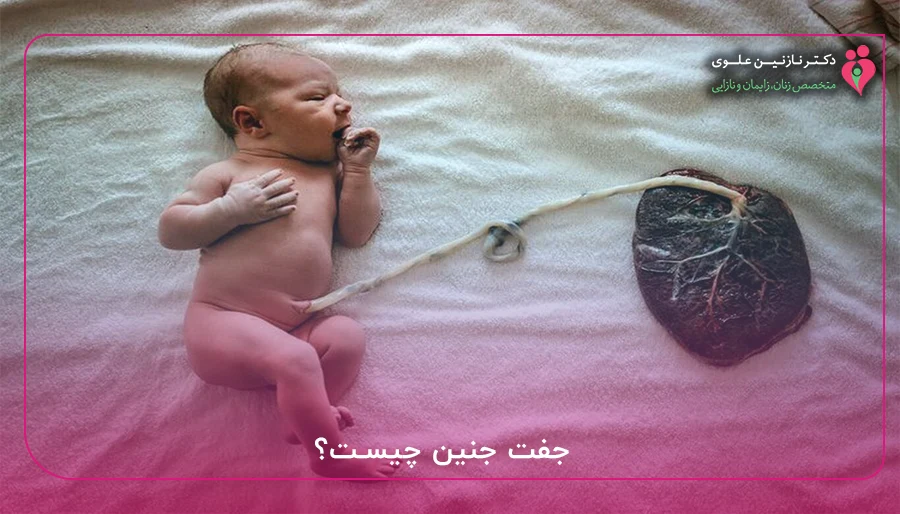 جفت جنین چیست؟