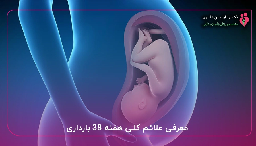 معرفی علائم کلی هفته ۳۸ بارداری