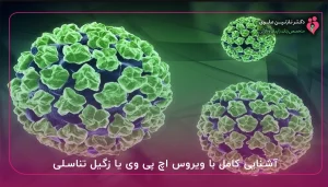 آشنایی کامل با ویروس اچ پی وی یا زگیل تناسلی