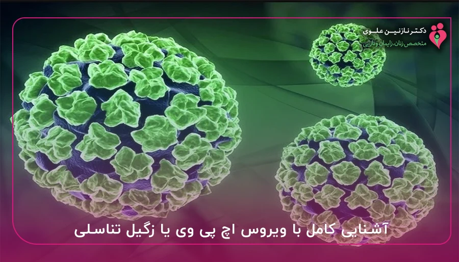 آشنایی کامل با ویروس اچ پی وی یا زگیل تناسلی