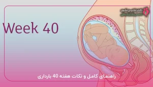 راهنمای کامل و نکات هفته ۴۰ بارداری